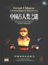 Great DVD about the early origins of the oldest living Civilization on the Planet !